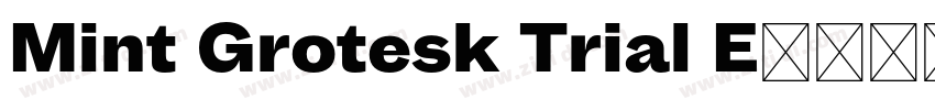Mint Grotesk Trial E字体转换